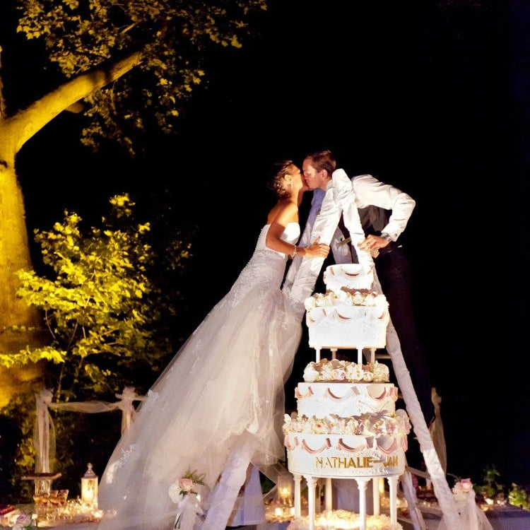 wedding cake bruidstaart taart feesttaart themataart