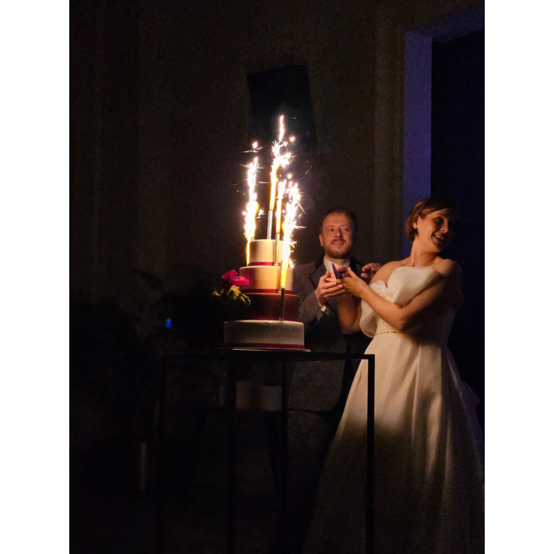 bruidstaart wedding cake feestaart taart themataart