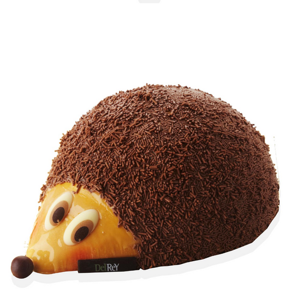 Hedgehog ice cream cake