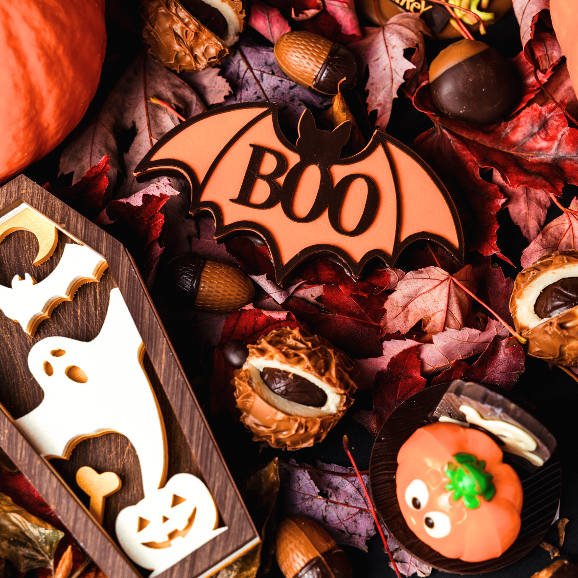 ontdek onze herfst en halloween collectie