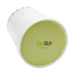 Ijs en sorbet in 0,5 liter van DelRey / Ice cream and sorbet in 0.5 liters from DelRey
