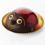 Chocolade lieveheersbeestje uit frambozensorbet en amandelmelkijs van DelRey / Chocolate ladybird out of raspberry sorbet and almond milk ice cream from DelRey